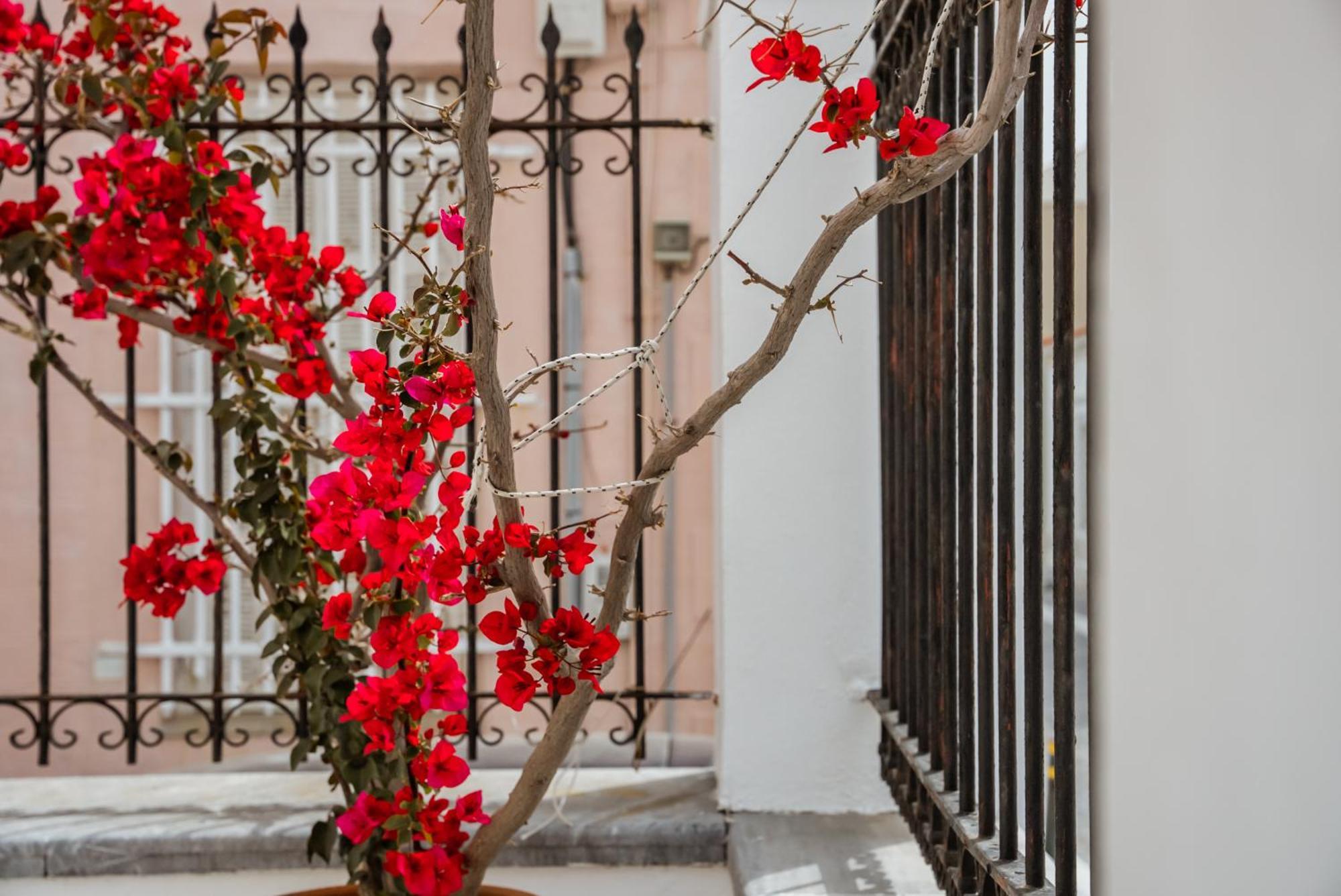 Archontiko Eleni Hotel Ándros 外观 照片